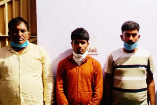 जयपुर में गांजा तस्कर गिरफ्तार,  Ganja smuggler arrested in Jaipur, CID Crime Branch Action