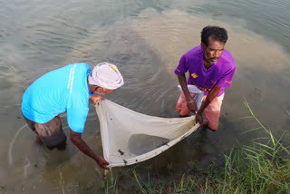 fishery department prepared with start of monsoon, मत्स्य विभाग पूरी तरह से तैयार