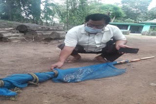 One Leopard Recovered At Diphu Bakaliaghat