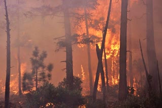 destruction after california-wildfire-