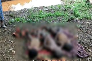 three-children-died-due-to-drowning-in-a-drain-in-singrauli