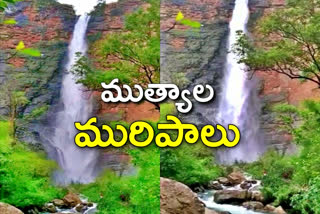 muthyala waterfalls beautiful video in mulugu district