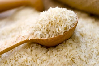 plea in Supreme Court for GI tag of Basmati Rice