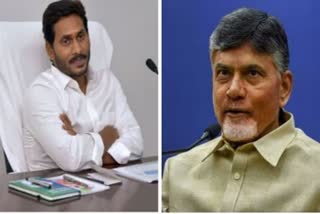 jungle raj  TDP  YSRCP  N Chandrababu Naidu  ஆந்திராவில் காட்டாட்சி  சந்திரபாபு நாயுடு  ஆந்திரா  ஜெகன் மோகன் ரெட்டி