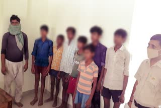 Child Labour Case in Gohana