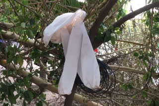 ppe kit hanging on tree at outside the noida chief medical officer office