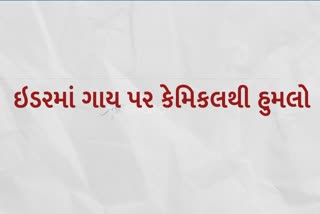 Etv Bharat, Gujarati News, Idar News