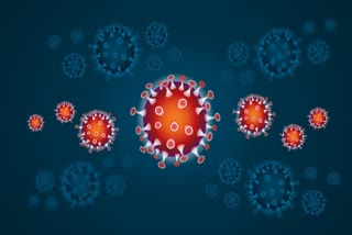 corona infections in nodia