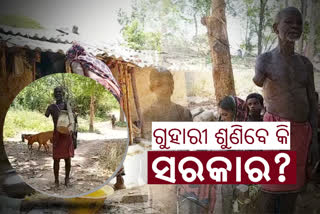 ଯୋଜନା ଅନେକ, ସରକାରୀ ସୁବିଧାରୁ ବଞ୍ଚିତ ପ୍ରକୃତ ହିତାଧିକାରୀ