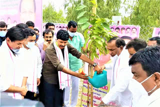 minister-mallareddy-in-haritha-haram-programme-at-shamirpet