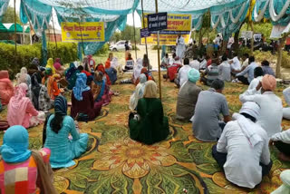 fifth day of pti teachers hunger strike in sirsa