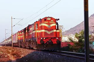 thirteen boar died after being crushed under the train in chandrapur