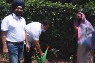 OP Soni and Asha Kumari celebrate Rahul Gandhi's birthday by planting saplings