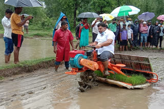 rice cultivation by mla vaibhav naik in sindhudurg