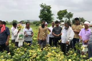 किसानों की फसल हुई बर्बाद, Farmers' crop wasted