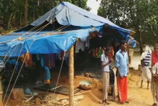 Adivasi family  distress  plastic sheets  wayanad  മാനന്തവാടി നഗരസഭ  പ്ലാസ്റ്റിക് ഷീറ്റ് മേഞ്ഞ കൂര  ആദിവാസി കുടുംബം