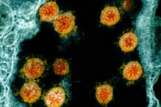 coronavirus in water systems  coronavirus  Italy's National Institute of Health  Italy  Virus  കൊവിഡ് 19 വാർത്തകൾ  ഇറ്റലി കൊവിഡ് വാർത്ത  ഇന്‍റലി നാഷണല്‍ ഇൻസ്റ്റിറ്റ്യൂട്ട് ഓഫ് ഹെല്‍ത്ത്  ജലസ്രോതസുകളില്‍ കൊറോണ വൈറസ്