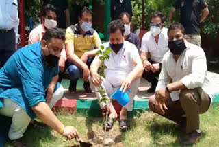 Dr. Verka planted 4 saplings in memory of martyrs on the occasion of Rahul Gandhi's birthday