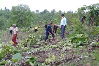 Working laborers