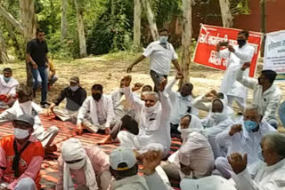 sarv karamchari sangh protest in support of pti teachers in palwal