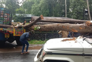 കോട്ടയം  വാഹനാപകടം  ഈരാറ്റുപേട്ട പാലാ റോഡ്  ബോലേറോ  kottayam  accident  bolero  koattayam news