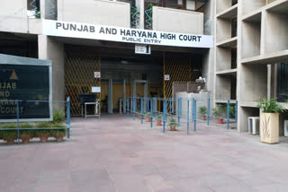 punjab and haryana highcourt run away couples