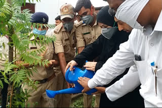 gulberga: tree planting on the occasion of faraz islam's birthday