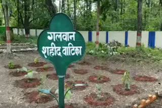 Galwan Vatika: Haldwani forest research centre plants trees to remember martyred soldiers