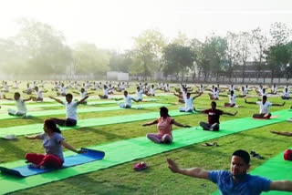 Yoga Day to be marked on digital platforms amid COVID-19 pandemic