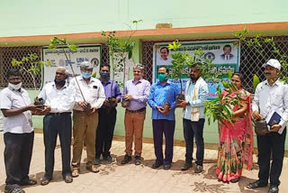 Fruit Plants Distributed In Illandu Singareni Area