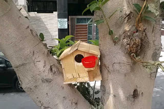 Nests planted by youngsters to protect birds from heat