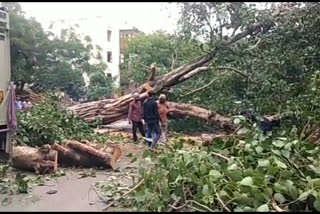 Loss of lakhs due to thunderstorms in Timarpur area in delhi