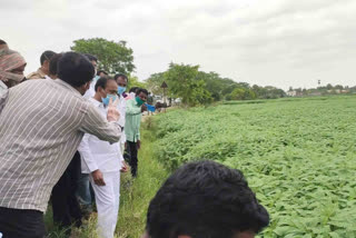 Minister Etela Visits Jeeluga Farm In huzurabad