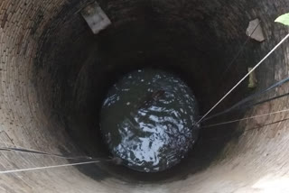 Nilgai falling into the well