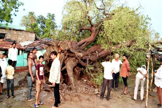 बारां की ताजा खबर, बारां में मौसम का हाल, weather report of baran, baran latest news