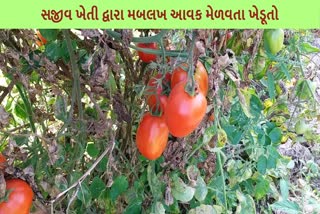 સજીવ ખેતી