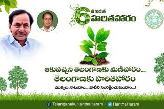 Forest Department Video Conference On Haritha Haram