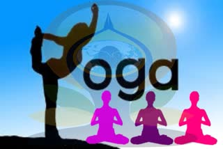 Over 96,000 trained as Yoga instructors, trainers under skilling initiatives: Govt