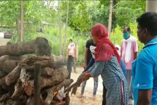 Daughter cremated her father