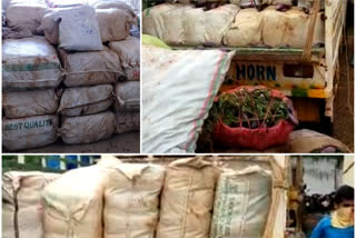 cannabis seized by police in hukumpet vizag district