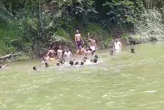 A youth drowned in the river  കുളിക്കാനിറങ്ങിയ യുവാവ് പുഴയിൽ മുങ്ങി മരിച്ചു