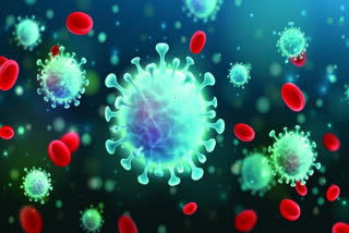 latest update of corona virus in bihar