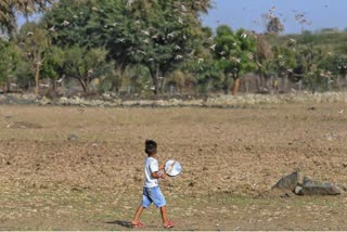 A swarm of locusts attacked trees and crops in two villages in Charkhari area of Uttar Pradesh's Mahoba district