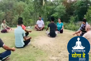 bjp leader gajendra yadav perform yoga