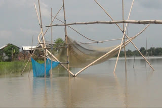 মীন আইন ভংগ কৰিলে হ'ব পাৰে 6 মাহলৈ জেল