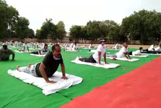 dhopur latest news, international yoga day, इंटरनेशनल योगा डे, धौलपुर की खबर, dholpur hindi news