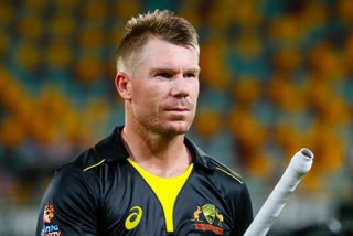 David Warner