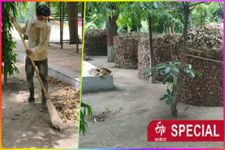 Compost is being made from the leaves of trees in the park of Dilshad Garden