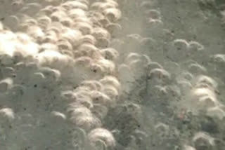 amazing view of solar eclipse at ghaziabad ssp residence