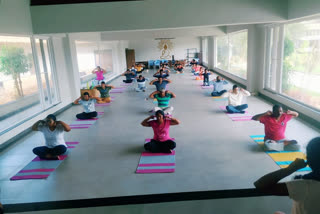 Yoga day celebrations